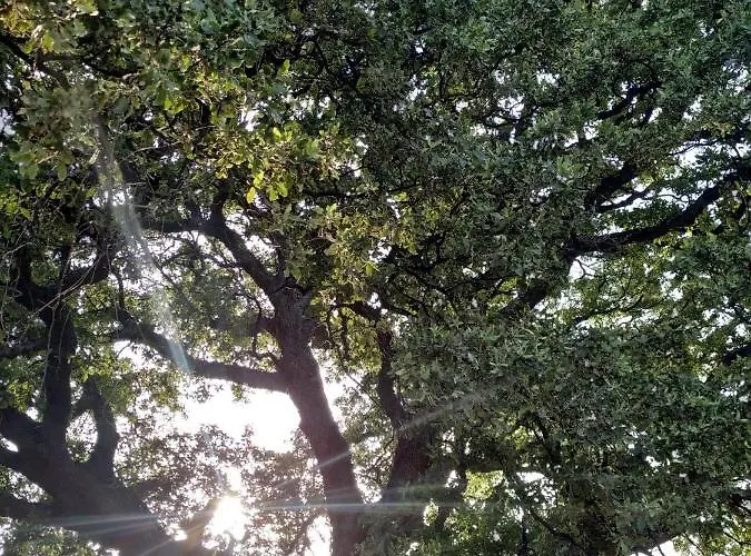 Andre House * Mesimvria (Evros)