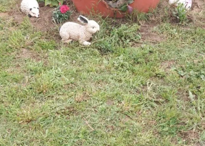 Andre House Mesimvria (Evros)